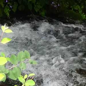 DSC00098