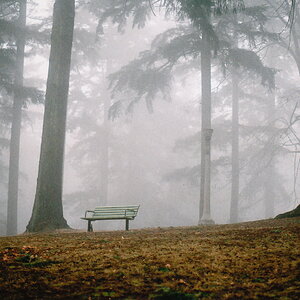 Empty bench