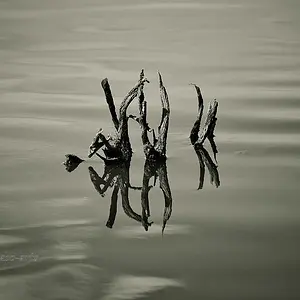 On the Lake