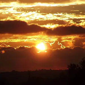 DSCF0006