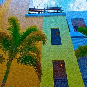 tropical city