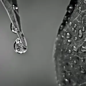 drops