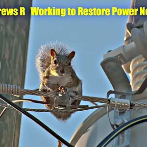 the electrician