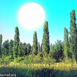 Odd Landscape