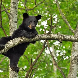 Hang in there it's almost Friday!