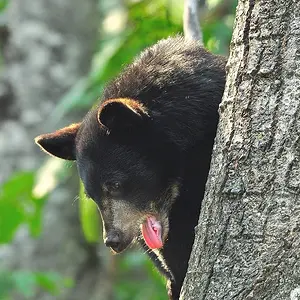 Nap time's over