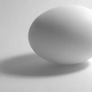 EGG