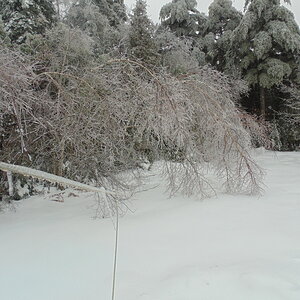 Ice Storm 12/22/13