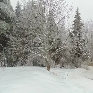 Ice Storm 12/22/13