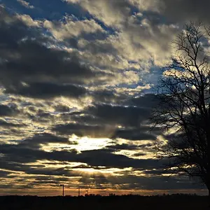DSC_0002_900
