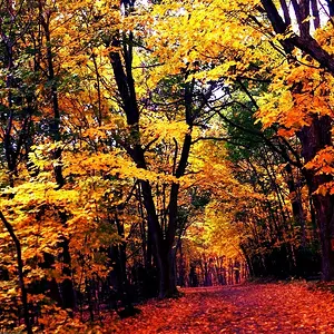 Lost In A Fairytale