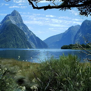Looking down Milford Sound
