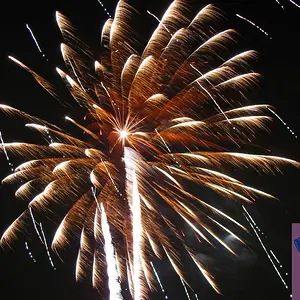Fourth of July carnival and fireworks