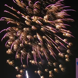 Fourth of July carnival and fireworks
