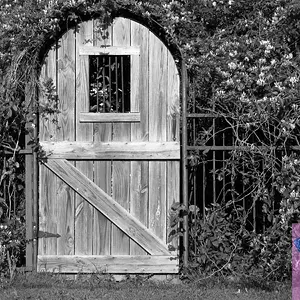 Garden door