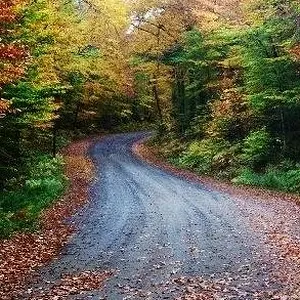 Windy Autumn Road