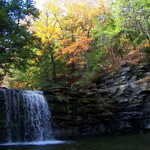 Autumn Falls