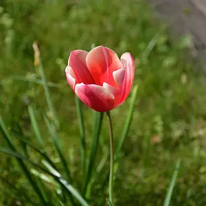 DSC_0002_klein