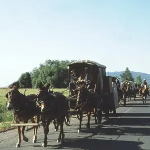 On_The_Road_Again