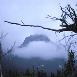Montana_Winter_Scene