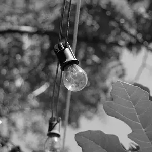 octphoto60-garden lights