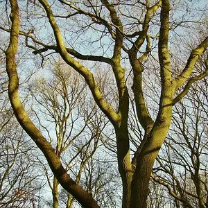octphoto70
