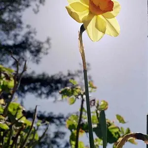 octphoto73