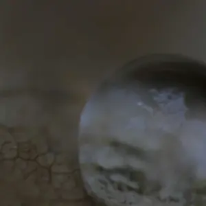 06NovPhoto10-drop