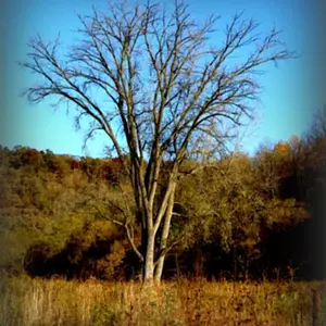06NovPhoto19