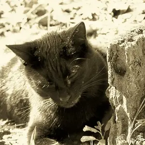 07janphoto38