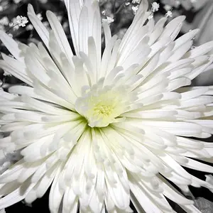 07janphoto41