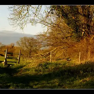07janphoto59