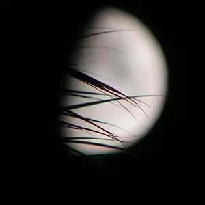 DSCN8517