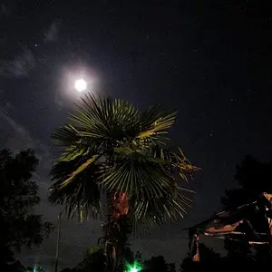 River Night