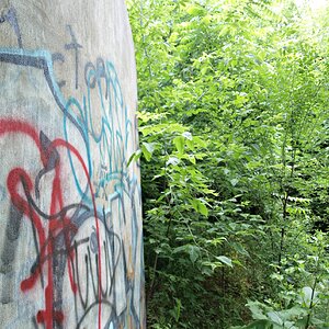 Graffiti wall in nature