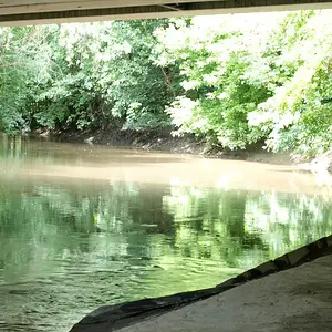 Misty River
