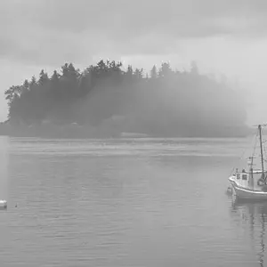 Fog On the Bay