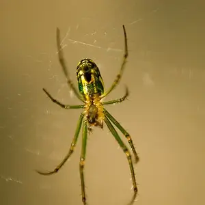14630598504_8bfe239fb1_z