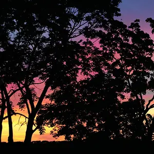 Hippie's Sunset