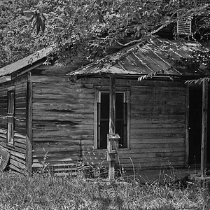 Ox Creek Ruin