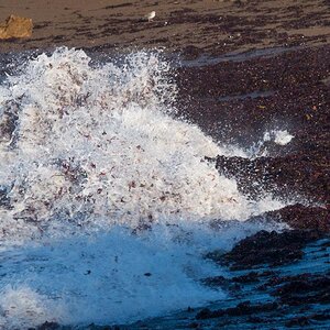 Cambria surf