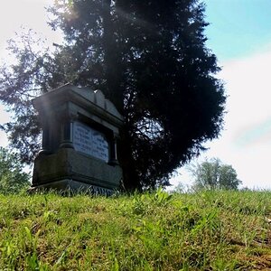 tombstone and tree