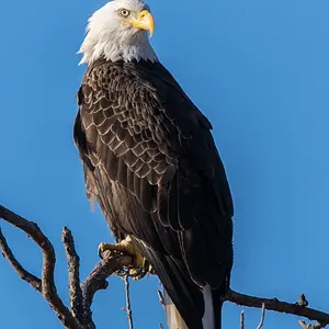 [No title]