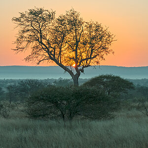 Sunrise near Balule Camp