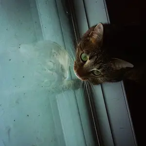 [No title]