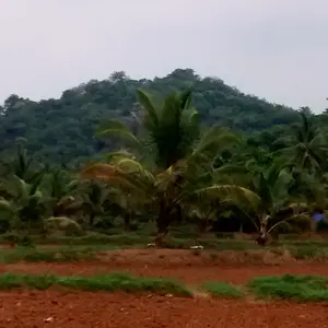 [No title]