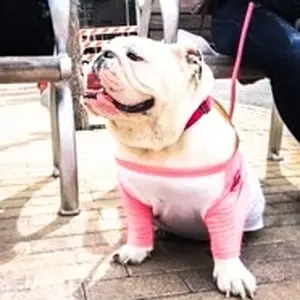 Out on the Town