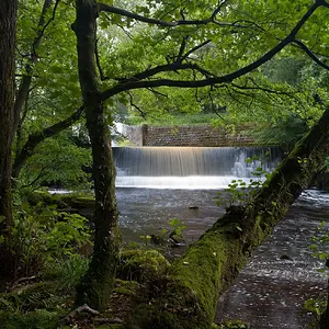 Abbeystead.