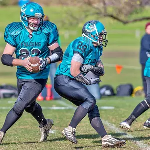 Ballarat Falcons