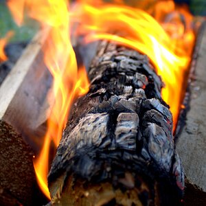 Log on the Fire